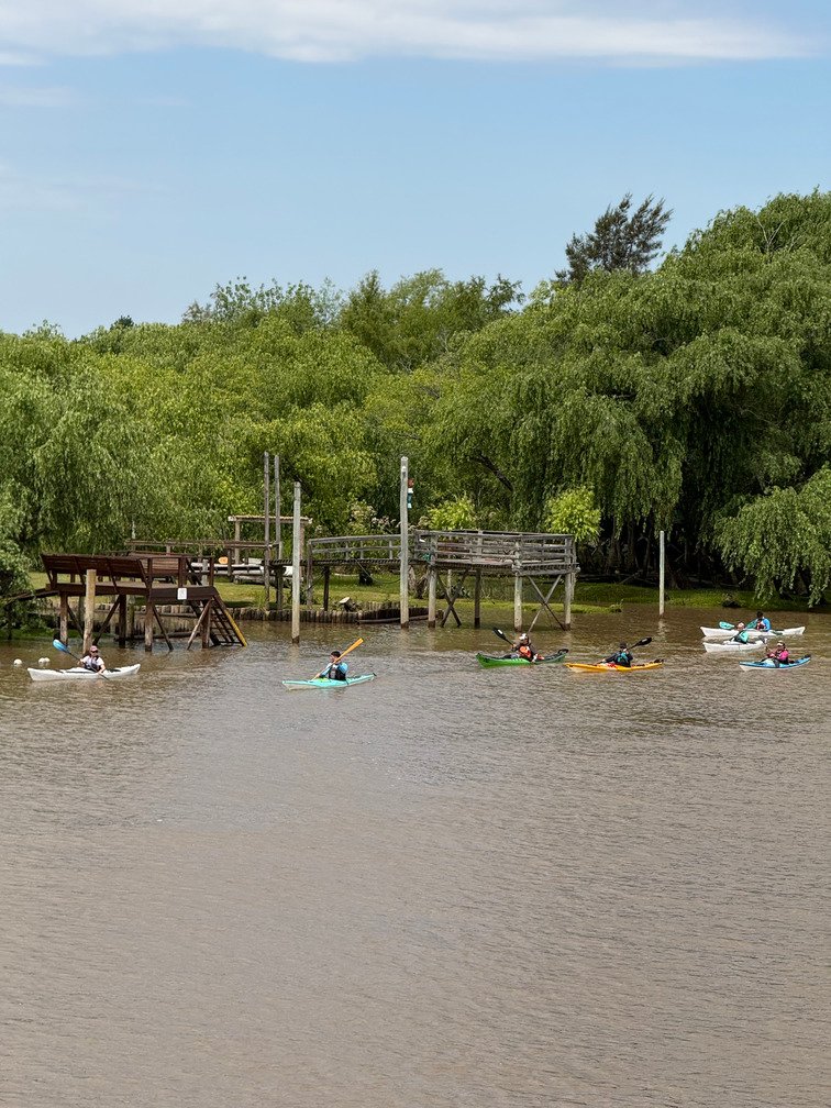 personas remando en el delta de tigre