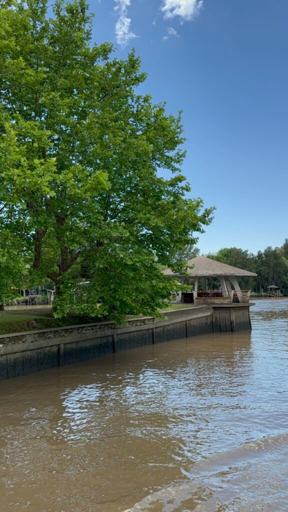 Mirador y arboles en la isla del delta tigre