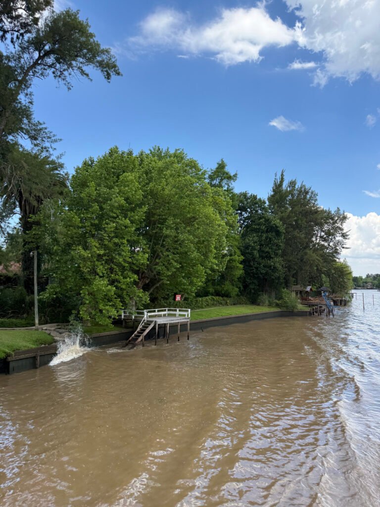 Arboles y un muelle en las islas del delta de tigre